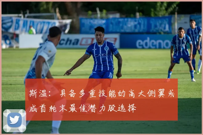 斯温：具备多重技能的高大侧翼或成首轮末最佳潜力股选择
