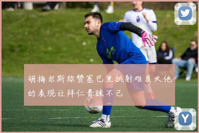 胡梅尔斯称赞塞巴里挑射难度大他的表现让拜仁青睐不已