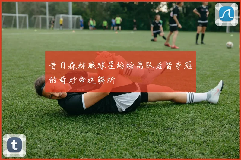 昔日森林狼球星纷纷离队后皆夺冠的奇妙命运解析